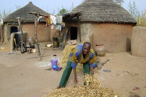 Drying cowpeas, Ghana. Photo: Flickr/53871588@N05 (TREEAID)