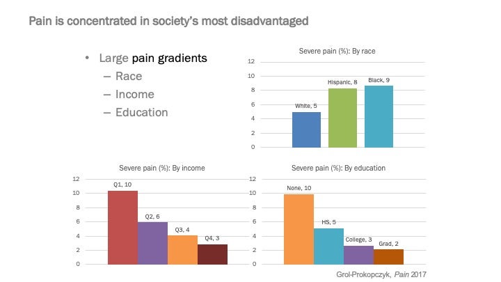 Pain gradients by race, education, and income