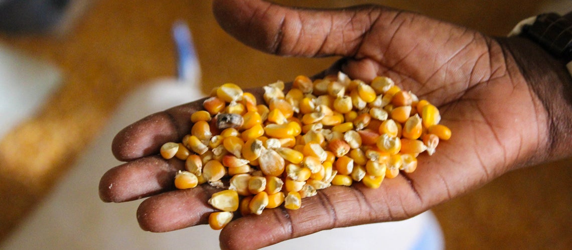 Six charts to understand Chad?s food security crisis Six charts to understand Chad?s food security crisis