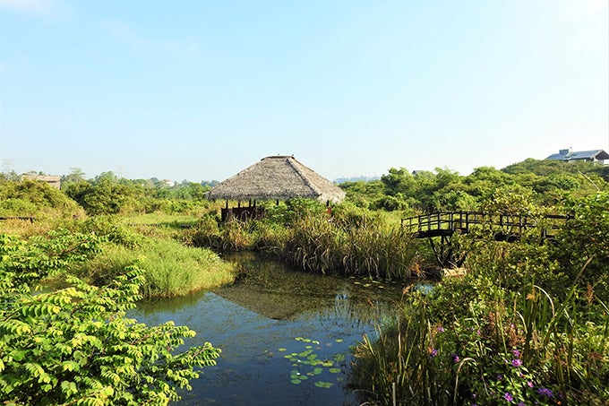 Sri Lanka has actively been working to ensure its wetlands are protected.