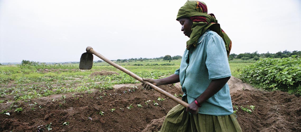 Un agricultora trabajando el campo. © Banco Mudial
