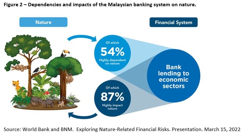 Dependencies and impacts of the Malaysian banking system on nature. 