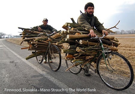 Firewood, Slovakia - Mano Strauch © The World Bank