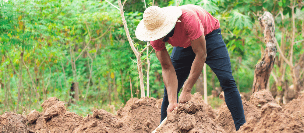 A farmer toils the soil in preparing produce  
