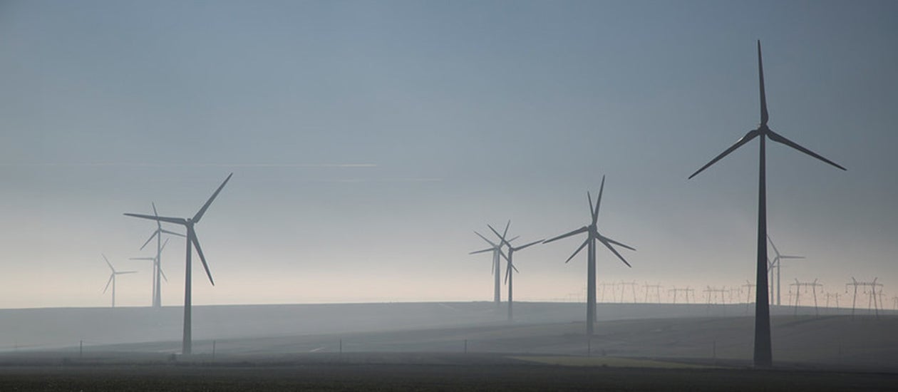Photo of a field of wind turbines