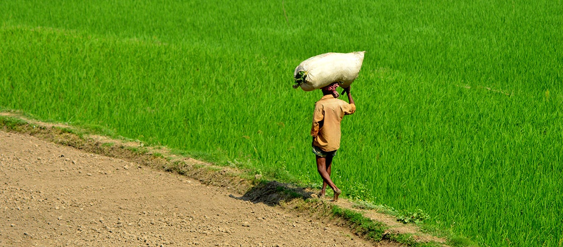 The COVID-19 pandemic impacted food supply chains in Bangladesh , especially in the informal and unorganized sector in rural areas. The COVID-19 pandemic impacted food supply chains in Bangladesh , especially in the informal and unorganized sector in rural areas.