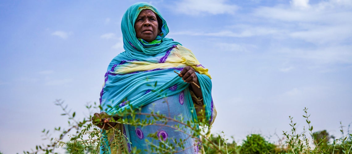 Seasonal deprivation in the Sahel is large, widespread, but it can be anticipated and addressed