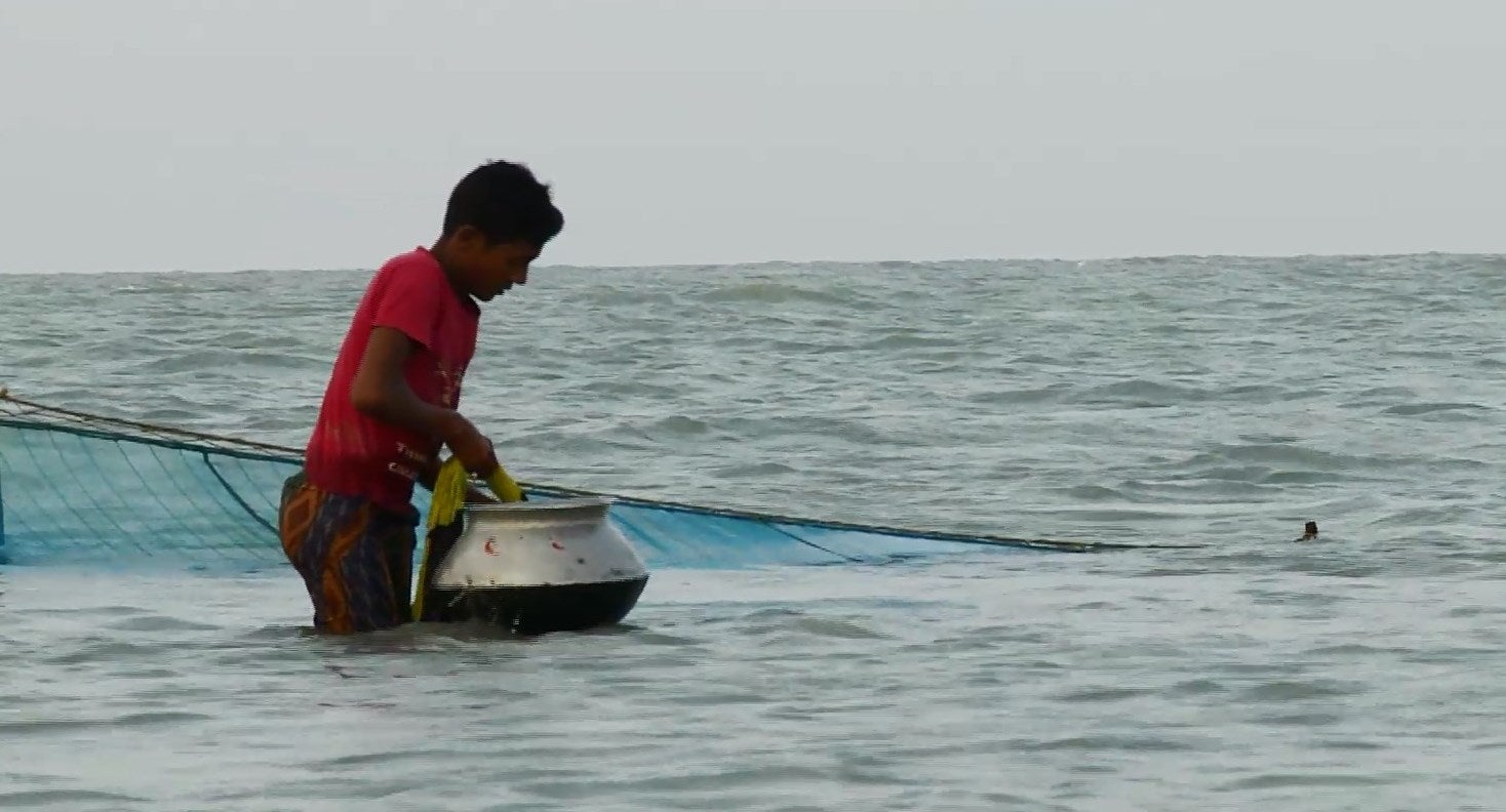 Ocean health=ocean wealth Sundarbans