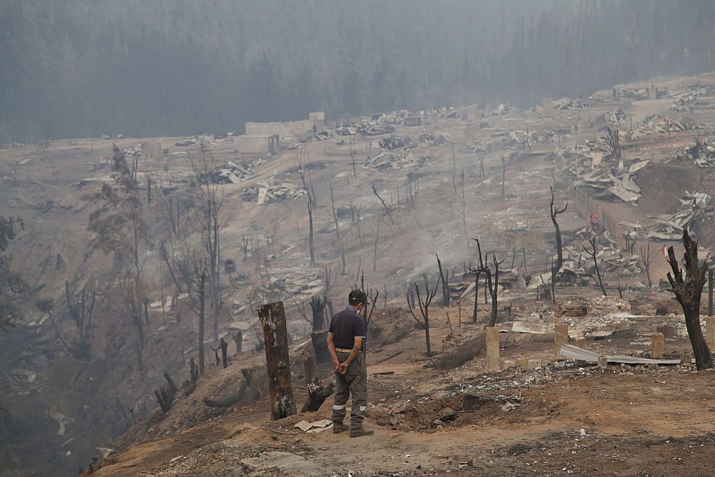 Chile: ¿Cómo crea un futuro resiliente para sus bosques? Chile: ¿Cómo crea un futuro resiliente para sus bosques?