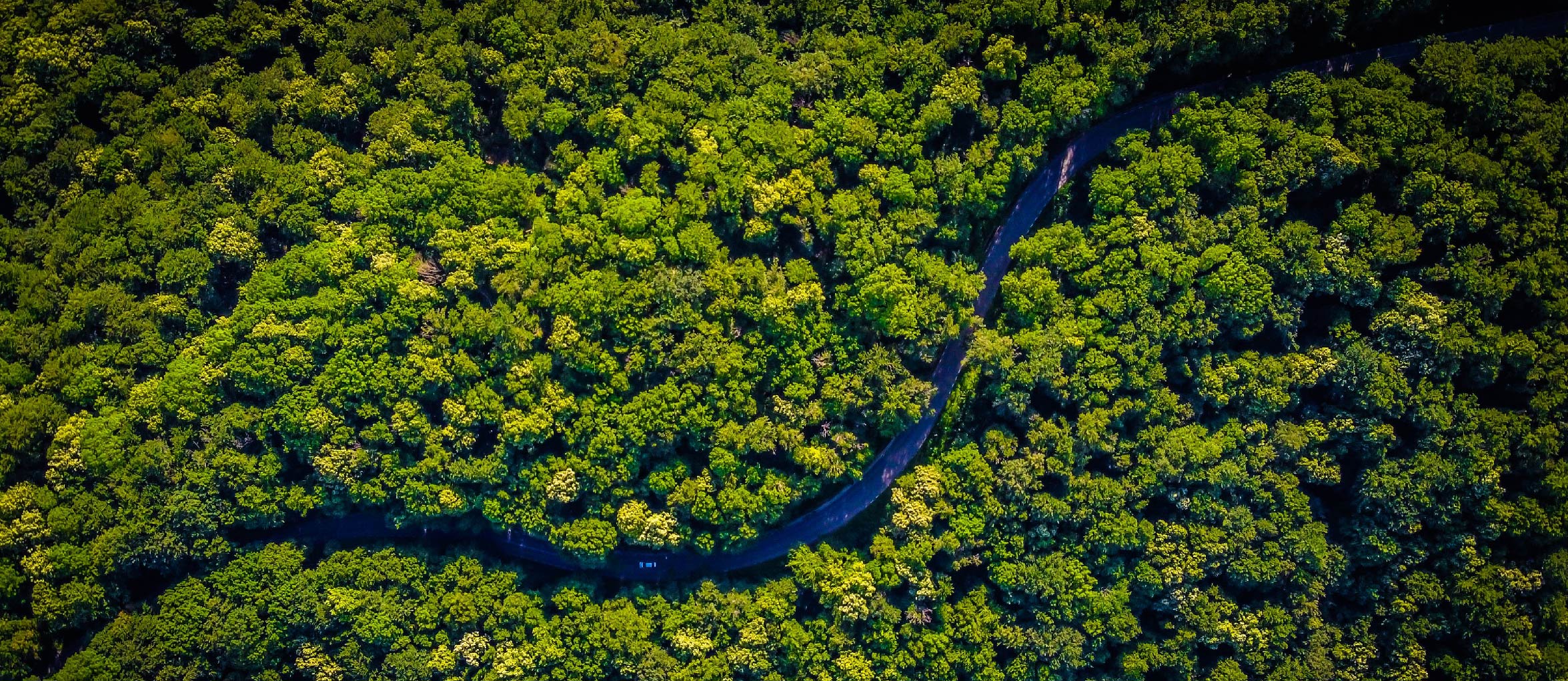 Deforestation and land use change are among the largest source of net CO2 emissions for Brazil. Photo by Jeremy Bishop on Unsplash Deforestation and land use change are among the largest source of net CO2 emissions for Brazil. Photo by Jeremy Bishop on Unsplash