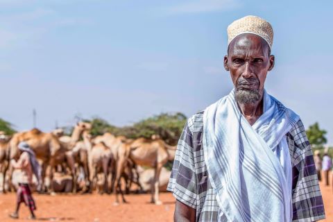 Man herding camels in Kenya Man herding camels in Kenya