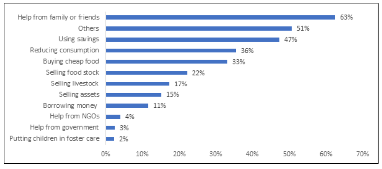 Chart 10. Households' coping mechanism in an event of shock 