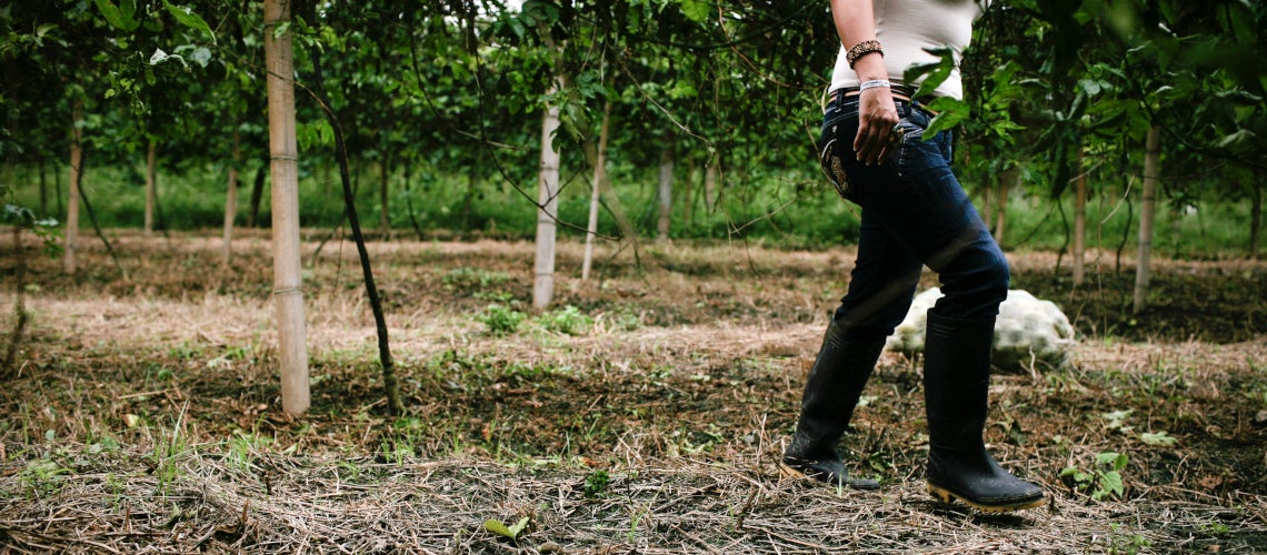 Member of a passion fruit producers? alliance in Colombia. Photo: Charlotte Kesl / World Bank Member of a passion fruit producers? alliance in Colombia. Photo: Charlotte Kesl / World Bank