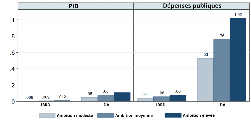 Objectifs de dépenses à consacrer au système statistique national (en pourcentage du PIB et des dépenses publiques)