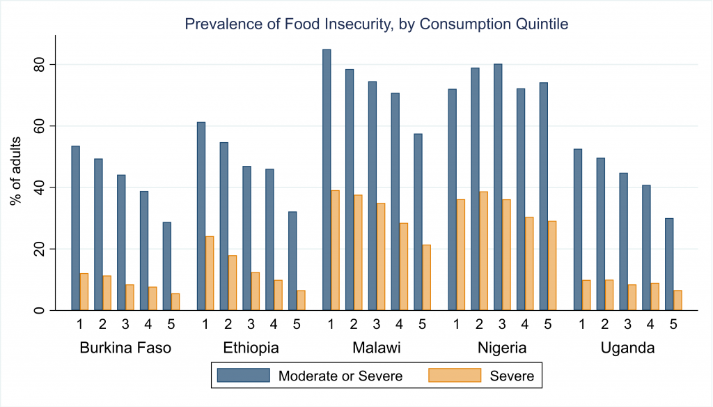 Prevalence of food insecurity by consumption quintile
