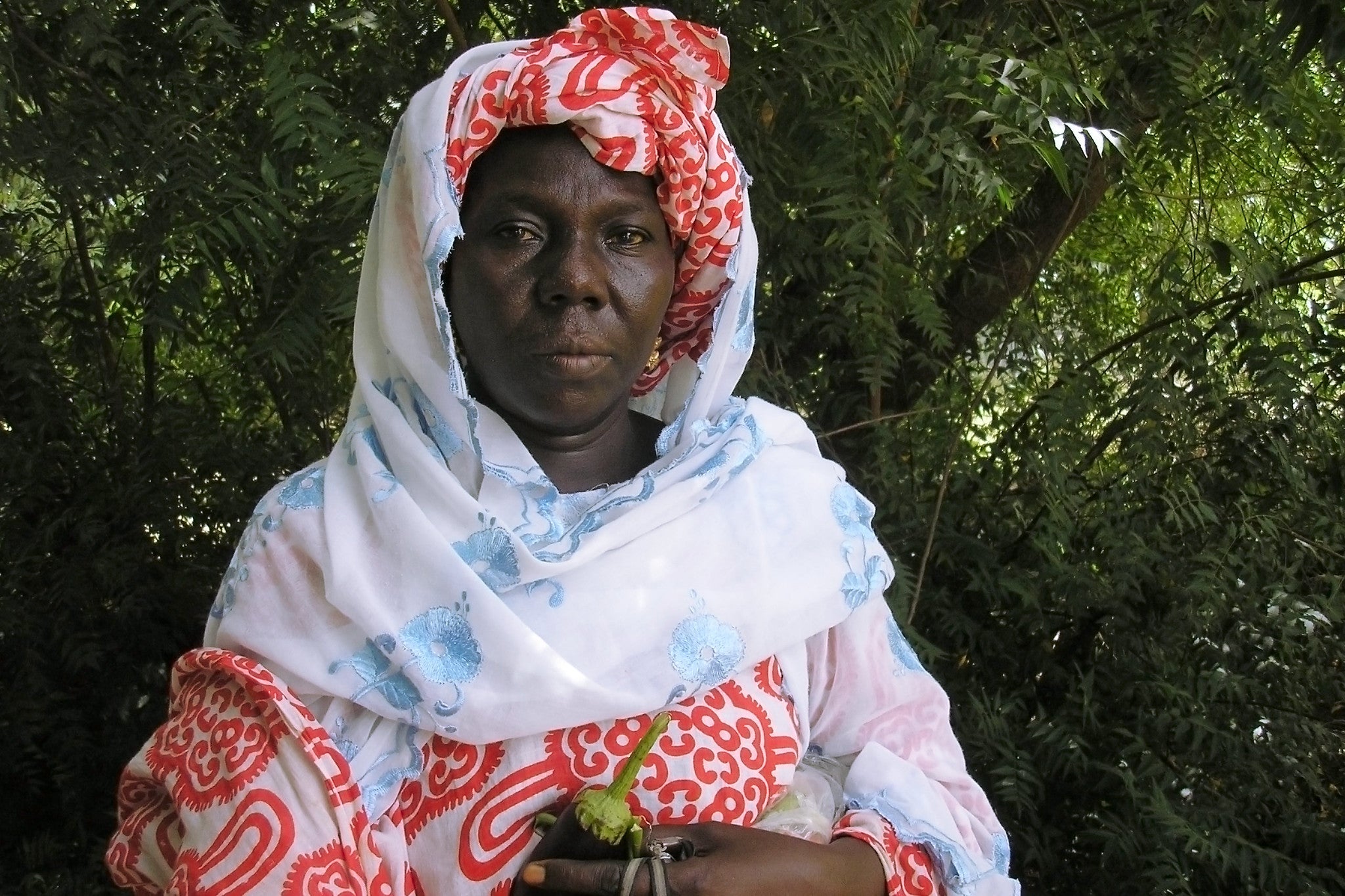 A rural irrigation project in Garak, Mauritania helped housewife Kodou Diagne turn her small plots of land into profitable vegetable gardens.Portrait. A rural irrigation project in Garak, Mauritania helped housewife Kodou Diagne turn her small plots of land into profitable vegetable gardens.Portrait.