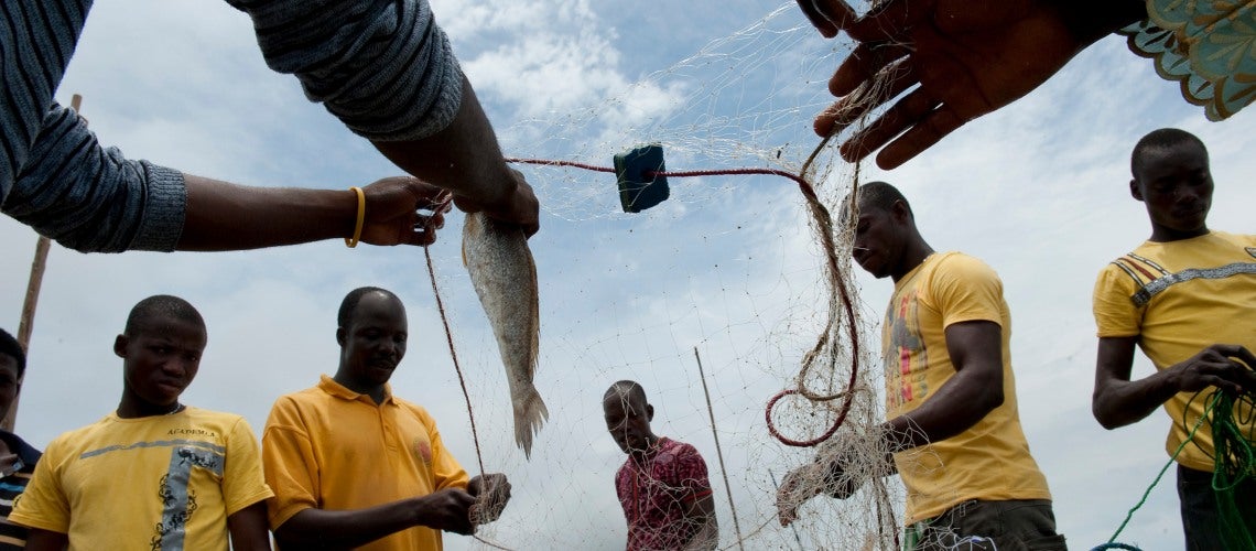 More than 110 million workers globally earn their livelihoods from small-scale fisheries. More than 110 million workers globally earn their livelihoods from small-scale fisheries.