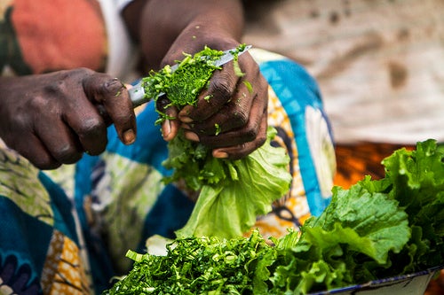 Preparing vegetables taken from garden, Mongu, Zambia. Source - Felix Clay/Duckrabbit