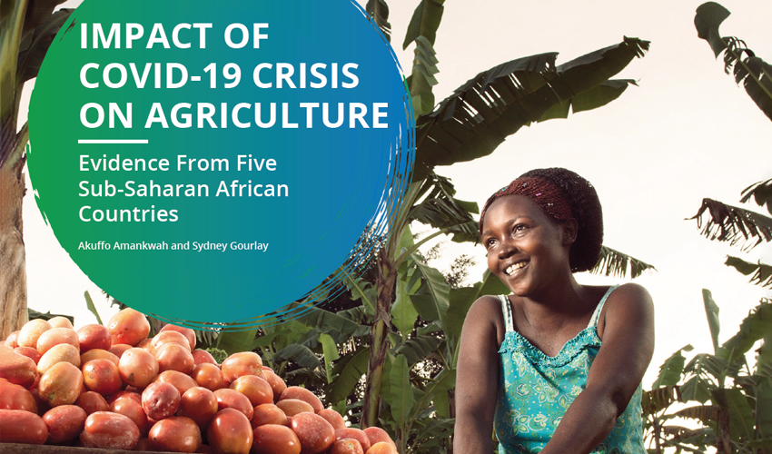 Impact of COVID-19 Crisis on Agriculture: Evidence from Five Sub-Saharan African Countries