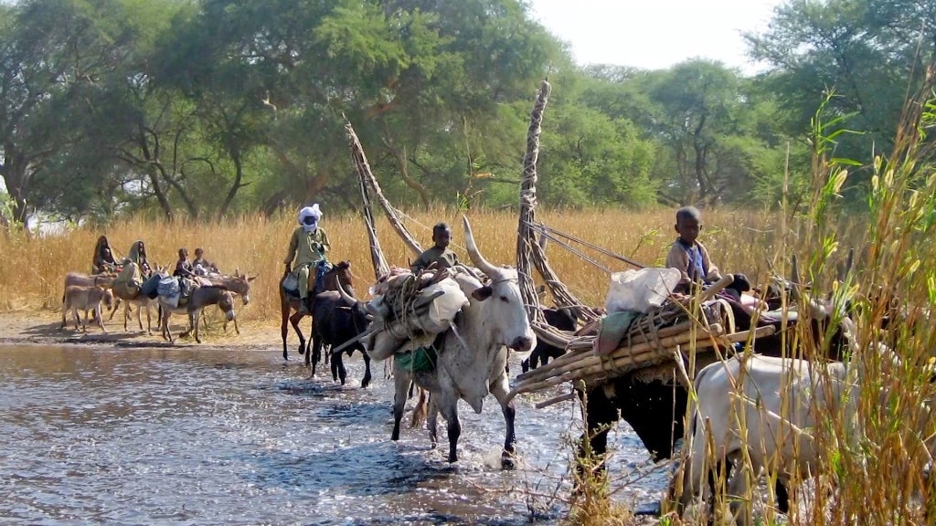 Livestock farmers passing through a shallow part of Lake Chad. Photo credit: The World Bank