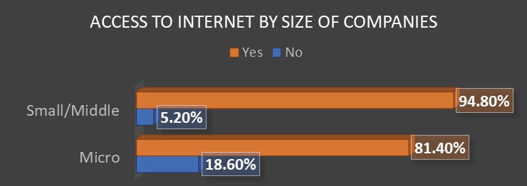Armenia: Access to Internet by Size of Companies