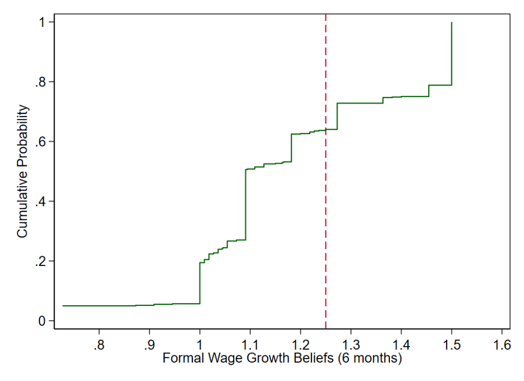 Beliefs of wage growth in the formal sector (6 months)  graphic