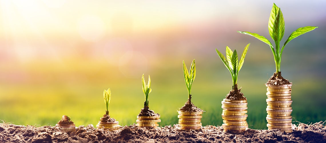 Plants on coins illustrating green finance concept | © shutterstock.com Plants on coins illustrating green finance concept | © shutterstock.com