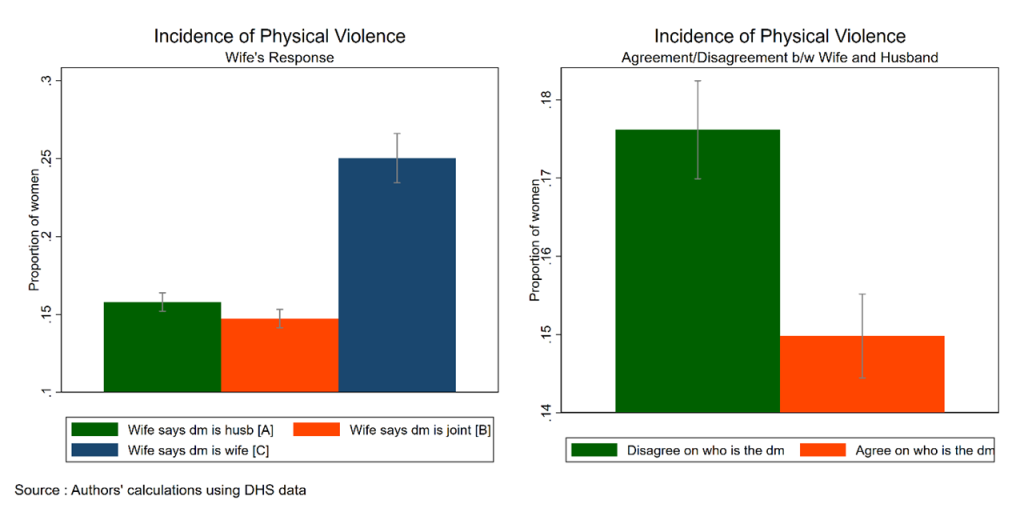 Demographic and Health Surveys
