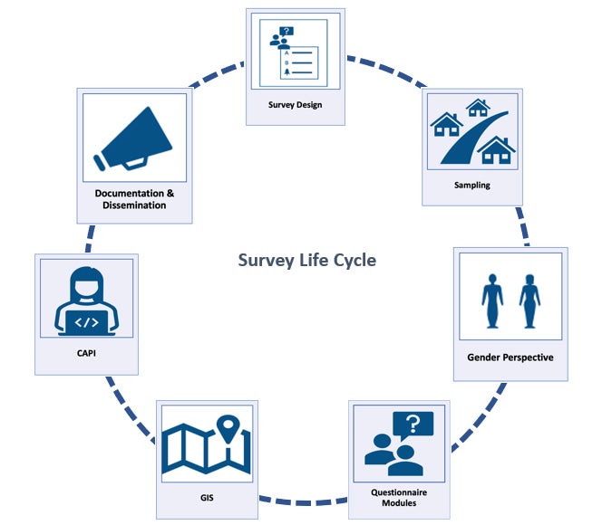 Life Cycle Survey