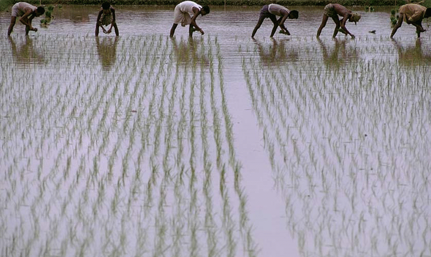 test gif