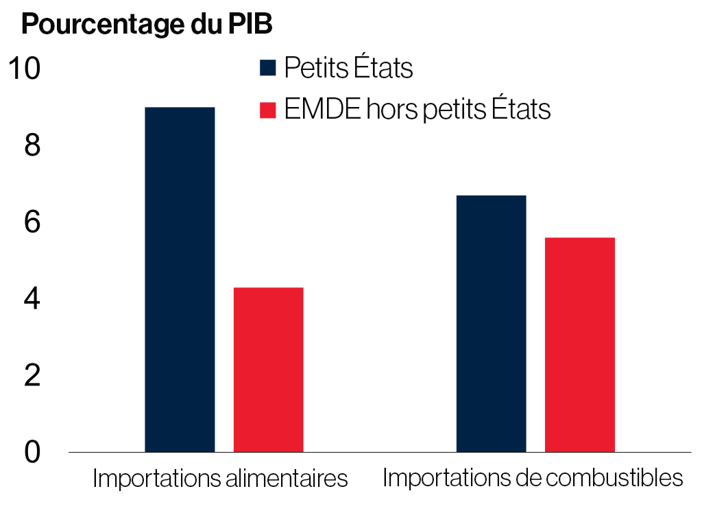 Graphique 3 : importations de produits alimentaires et de combustibles