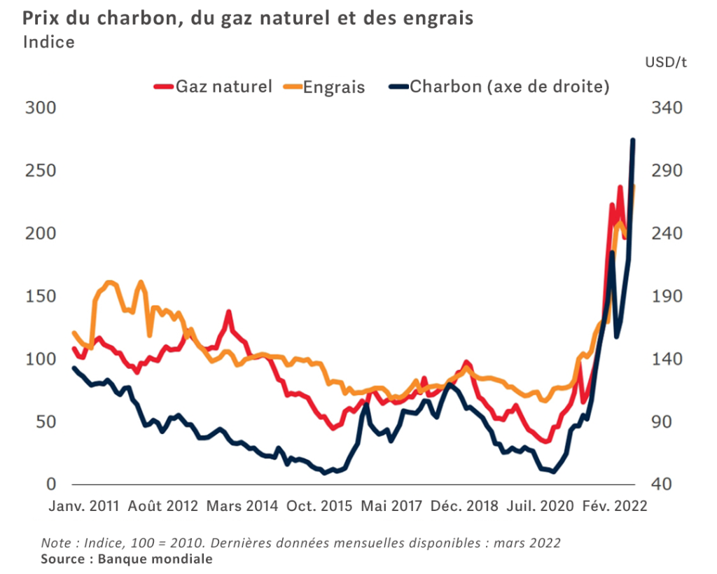 Prix du charbon, du gaz naturel et des engrais
