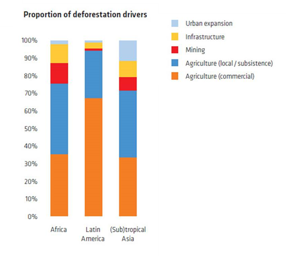 The drivers of deforestation