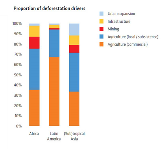 Figure 1: Local and commercial agriculture are responsible for up to 80 percent of all deforestation across the developing world.