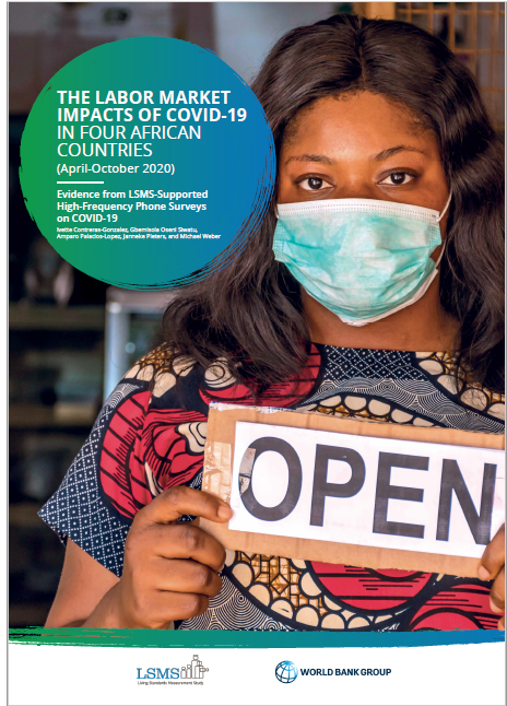 The Labor Market cover  