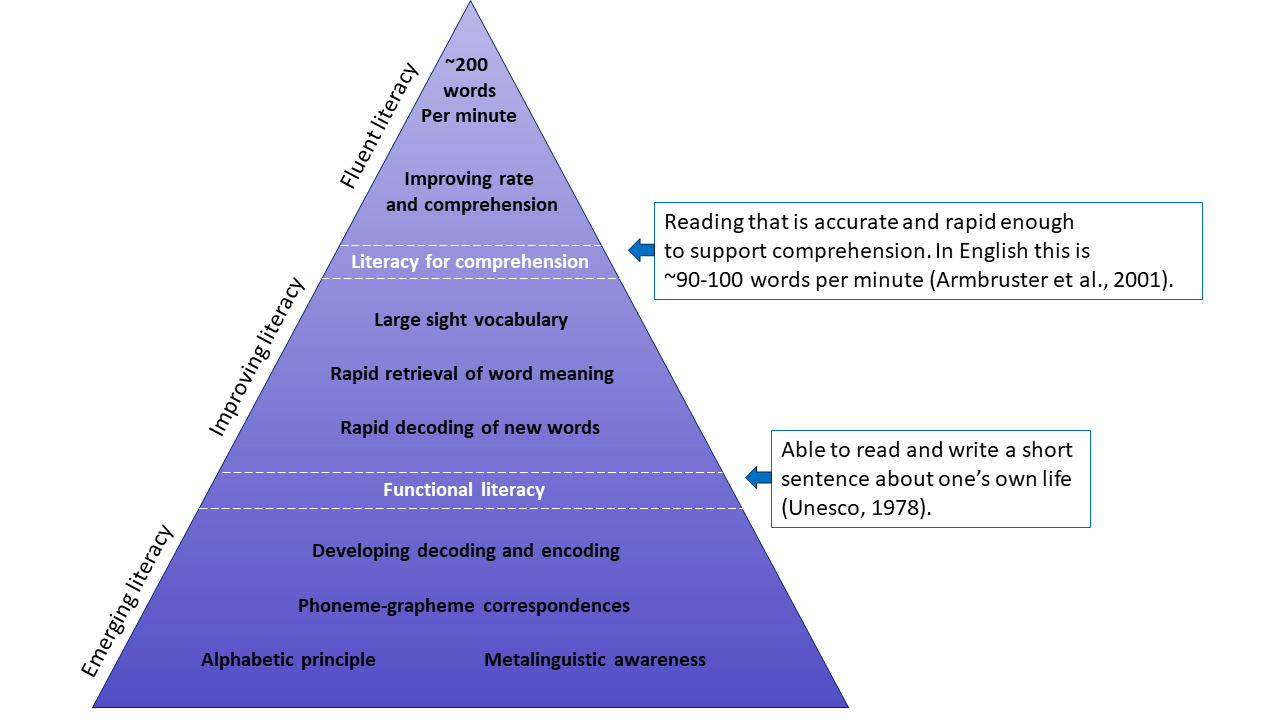 The Science of Adult Literacy