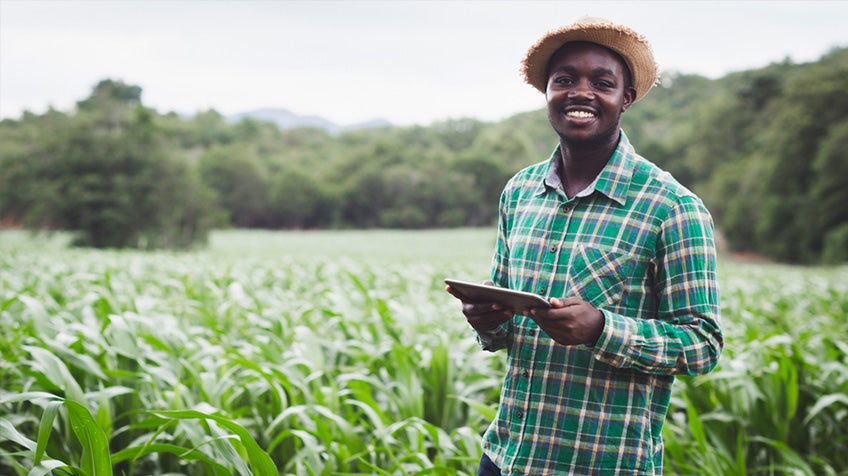 African farmer standing in the middle of a field.