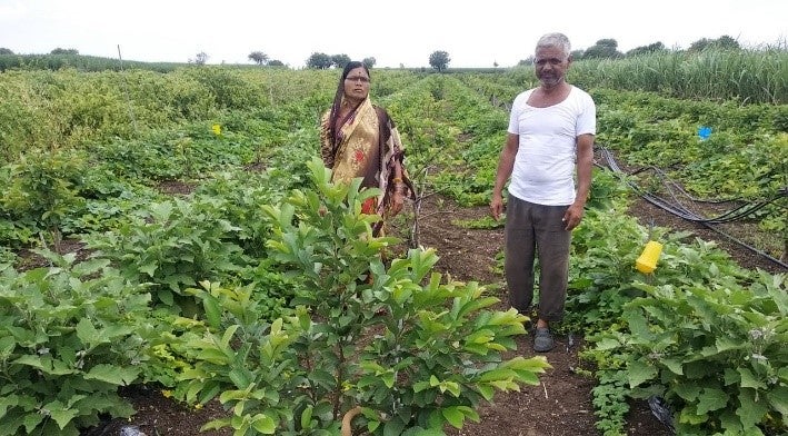 Vimal Rajabhu Yadav with her husband Rajabhau Yadav in their plantation