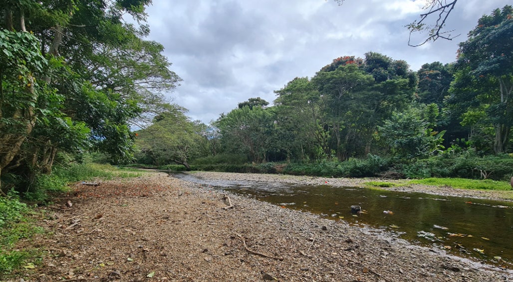 A large river runs through Nadroumai Village in Sigatoka surrounded by lush tropical forest. ©World Bank 