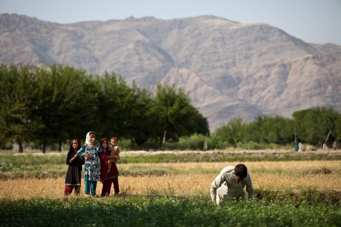 Afghan has low agricultural productivity Image