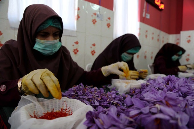 Afghanistan’s saffron was named the best saffron in the world for a third time. The International Taste and Quality Institute Brussels, Belgium awarded the accolade after examining some 300 samples in 2016. Afghanistan?s saffron was named the best saffron in the world for a third time. The International Taste and Quality Institute Brussels, Belgium awarded the accolade after examining some 300 samples in 2016.