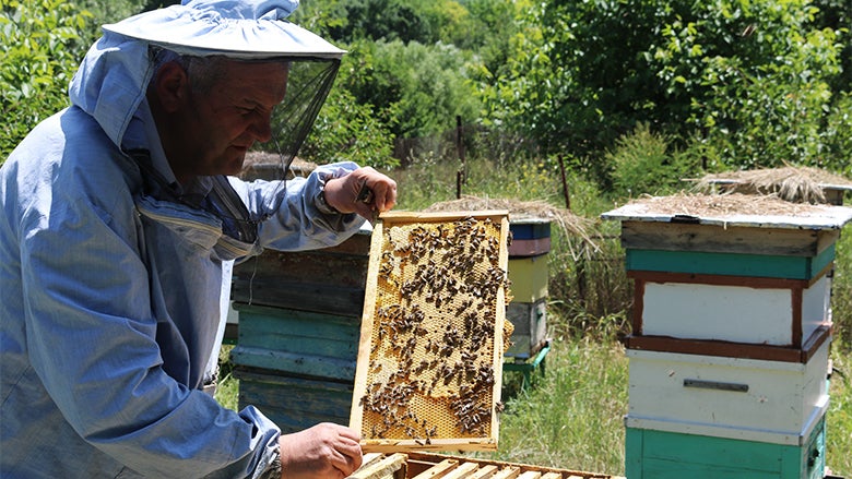 Armenian Beekeeper