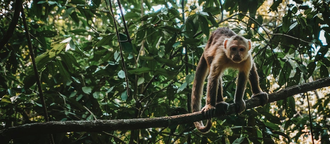 Photo: Berend Leupen on Unsplash Photo: Berend Leupen on Unsplash