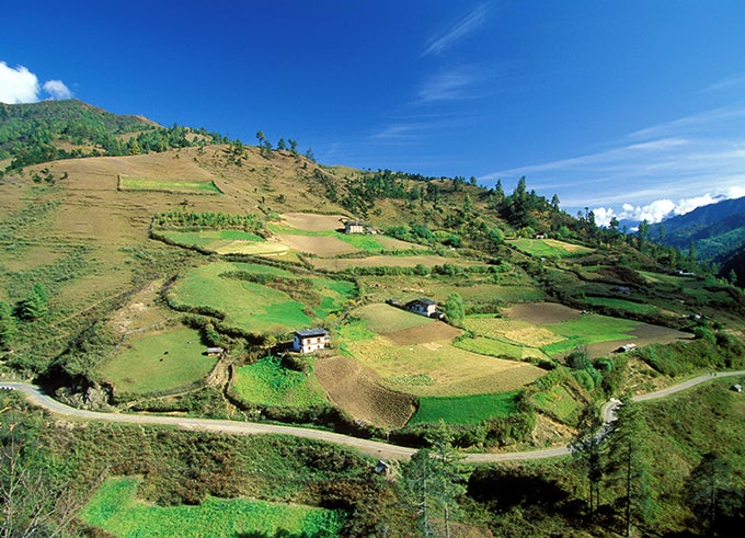 Landscape of terrace fields and homes. Bhutan