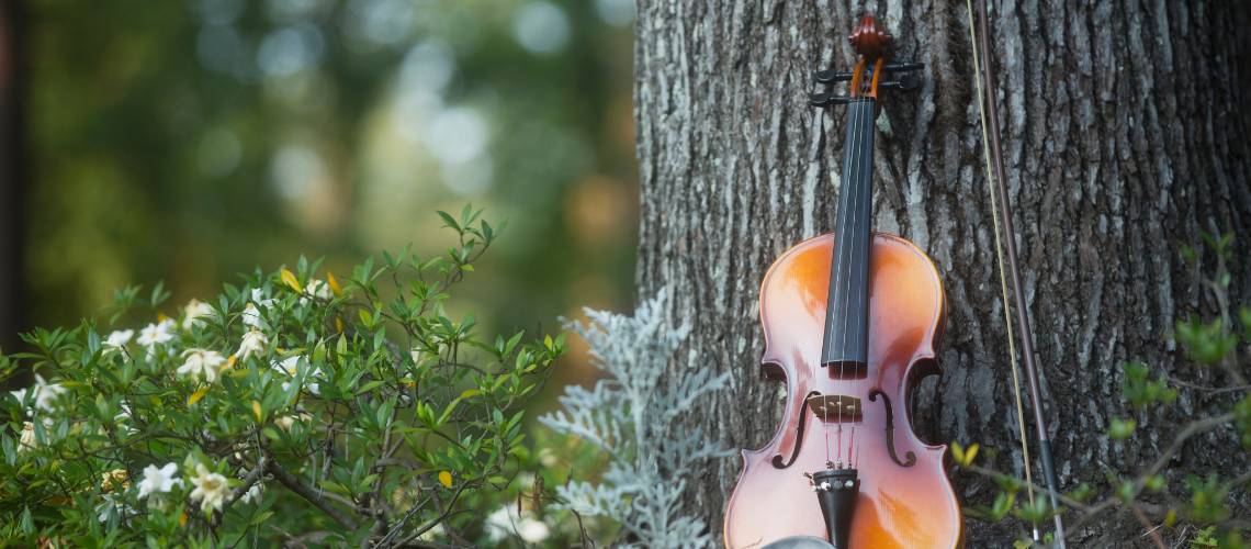 Violin in nature