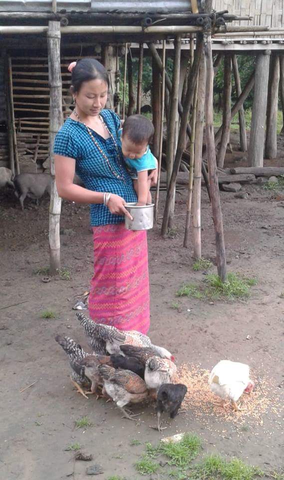 In the least populated district of Bandarban in the Chittagong Hill Tracts, poultry rearing is taught to support good nutrition In the least populated district of Bandarban in the Chittagong Hill Tracts, poultry rearing is taught to support good nutrition