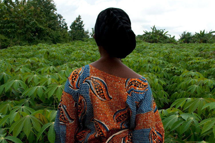 Woman looking over a forest Woman looking over a forest