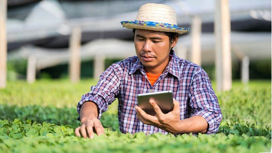 Photo of a gardener controlling plants using a tablet in  a greenhouse