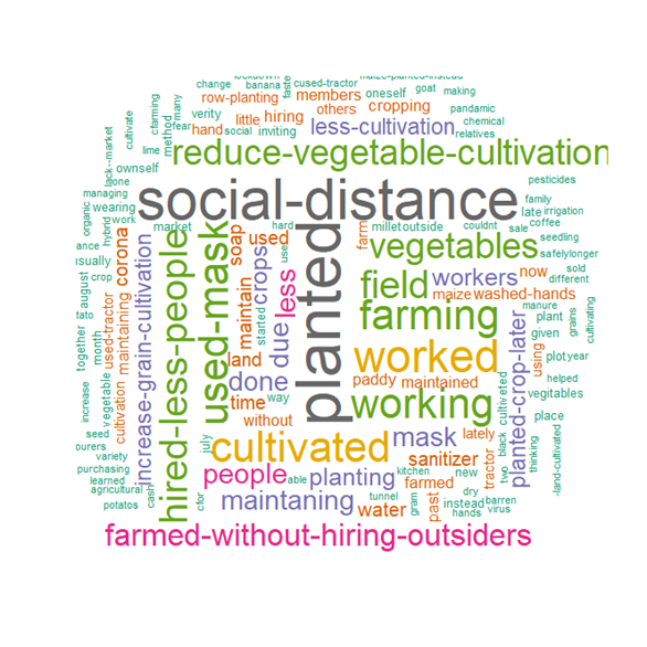 Word Cloud on ways farmers change their crop planting behavior amid COVID-19 in Nepal