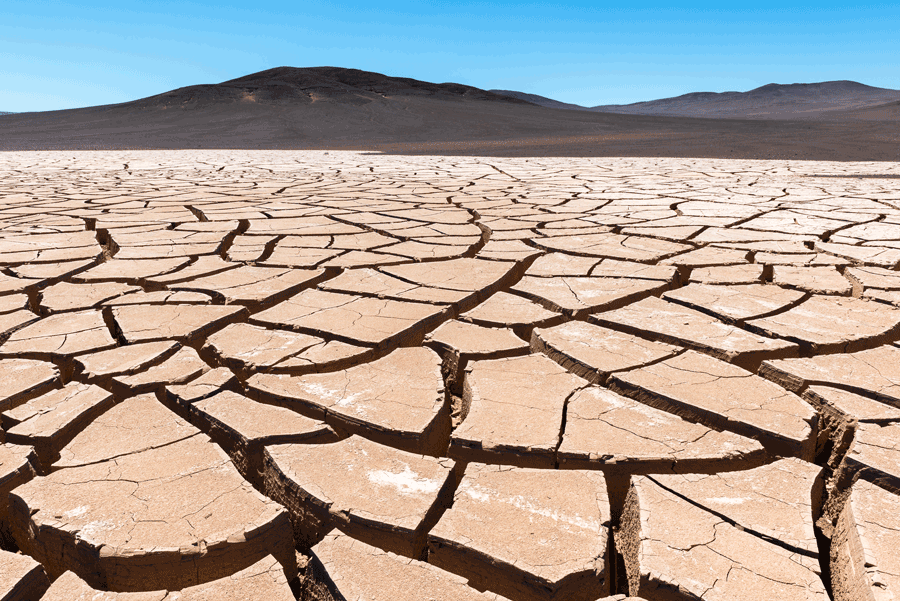 Dry cracked earth, Atacama (Chile). 